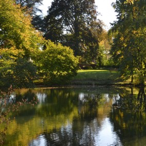 Weiher auf dem Parkgelände