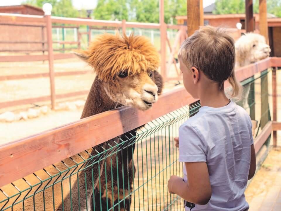 Spenden zu Weihnachten an Kinder