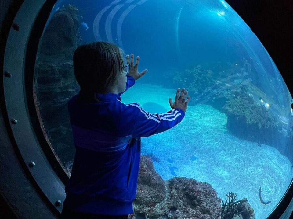 Werden Sie Ferienpate!