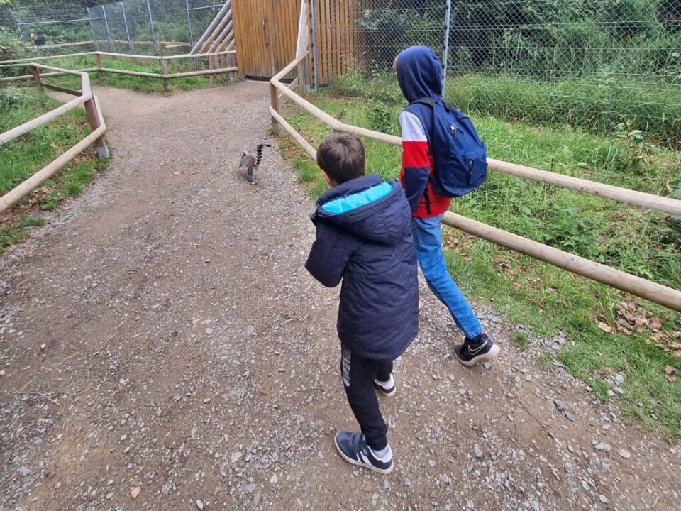 Wir erkunden den Tierpark.