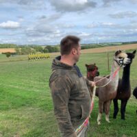 PM_Alpakawanderung-min